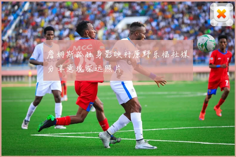 詹姆斯孤独身影映衬原野乐福社媒分享意境深远照片