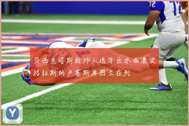贝西克塔斯新帅人选浮出水面澳波格拉斯纳卢塞斯库图兰在列