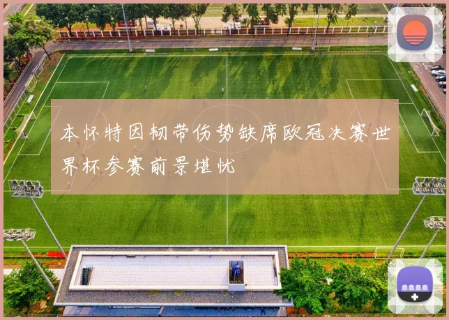 本怀特因韧带伤势缺席欧冠决赛世界杯参赛前景堪忧