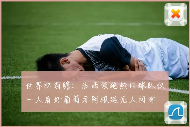 世界杯前瞻：法西领跑热门球队仅一人看好葡萄牙阿根廷无人问津